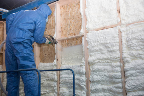 Best Blown-In Insulation  in Galena, OH